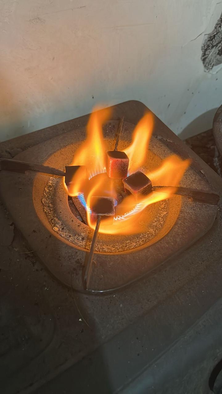 Briquette molding line