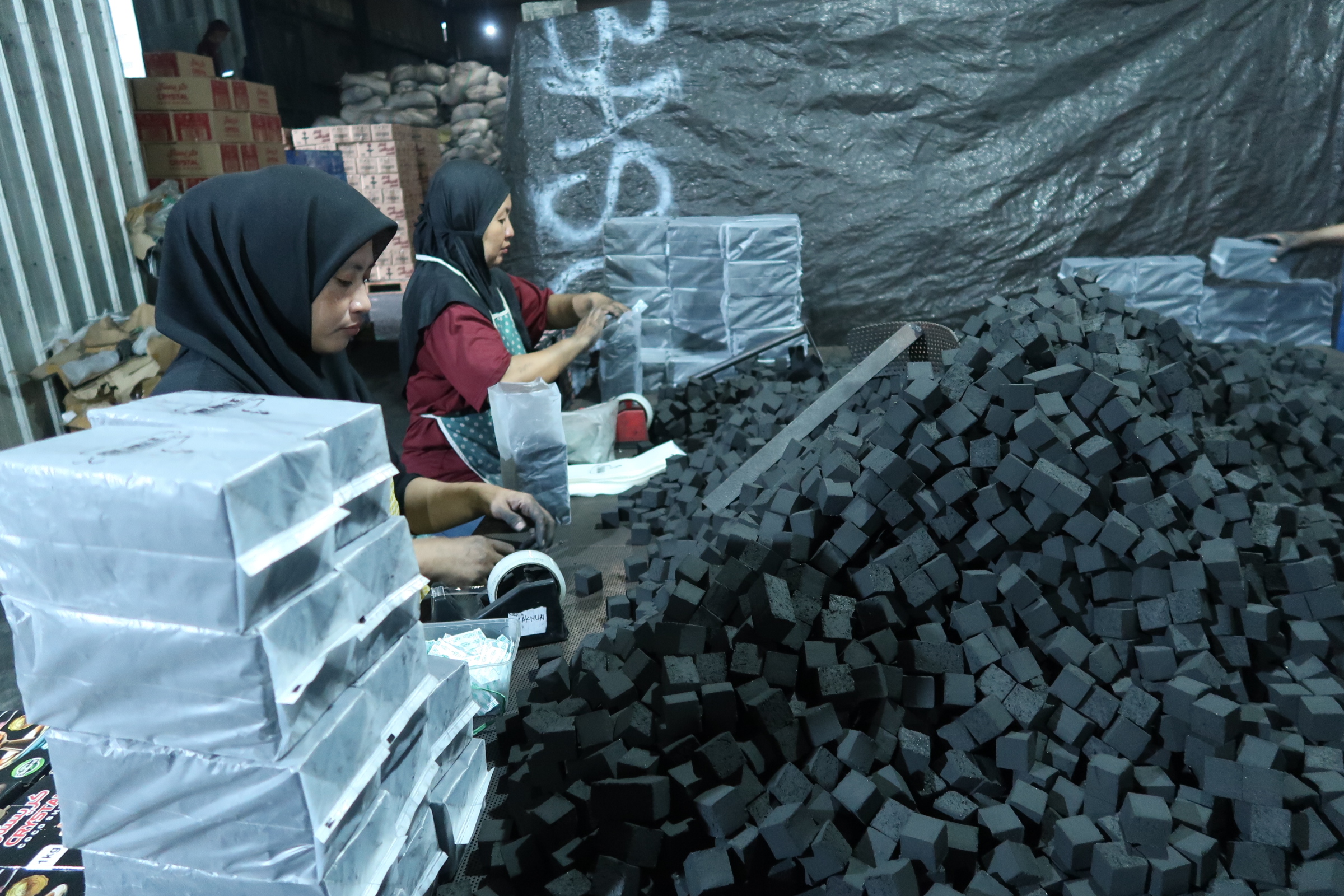 Briquette molding line